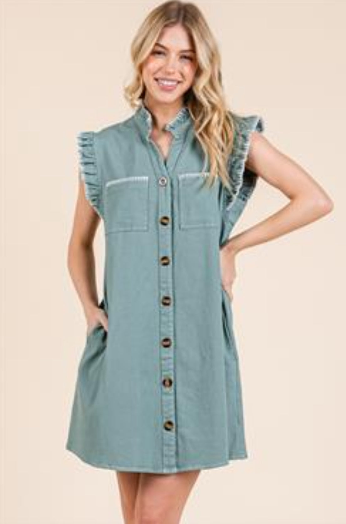 Denim Sage Button Up Dress