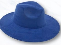 Suede Large Brim Hat