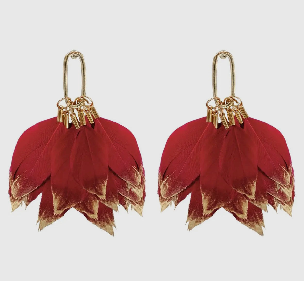 Garnet Feather Tassel Earring