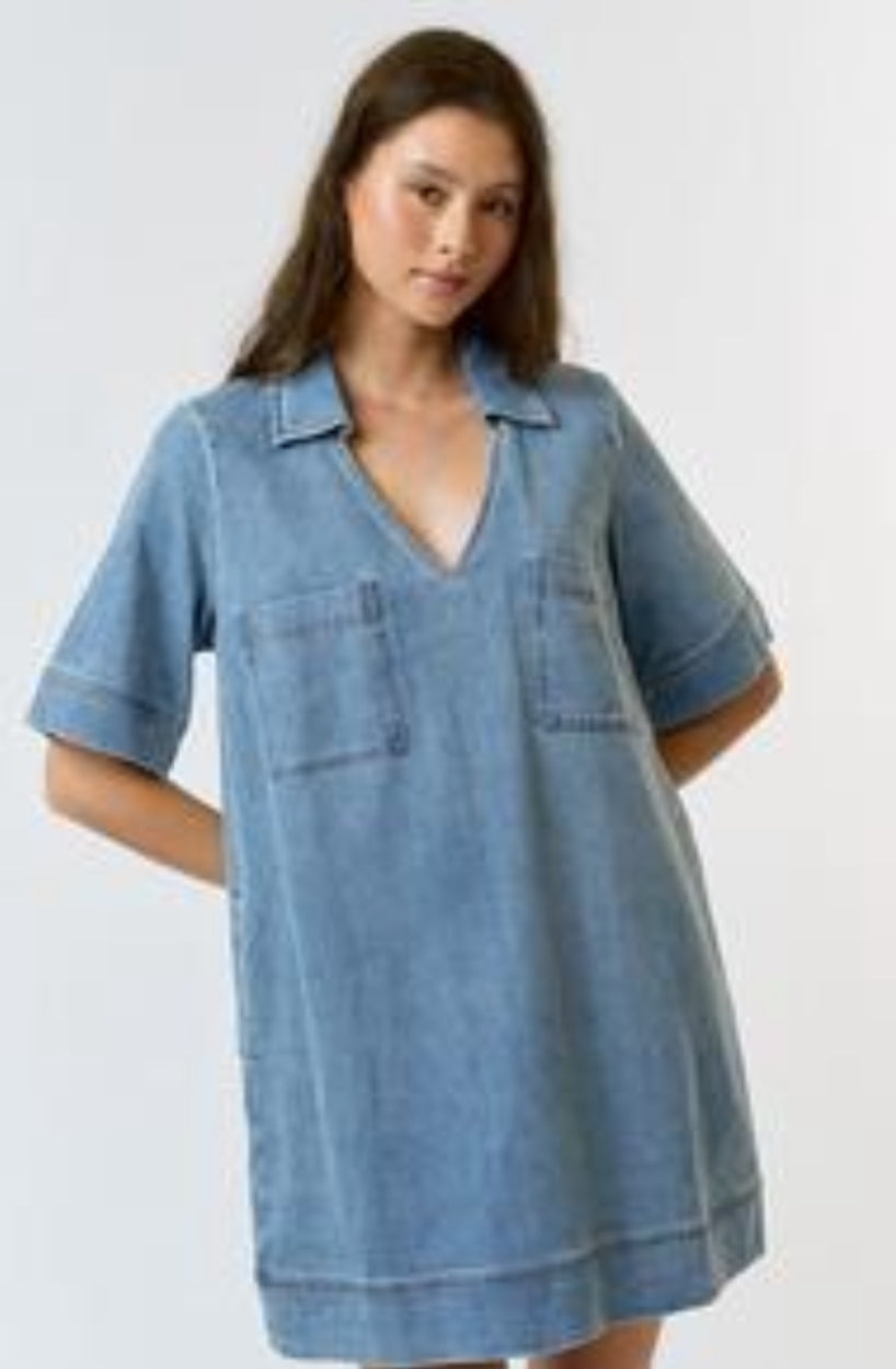 Collared V-Neck Denim Dress