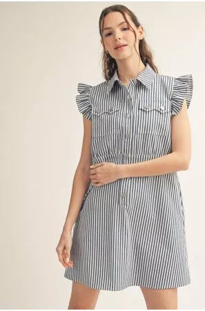 Striped Denim Button Dress