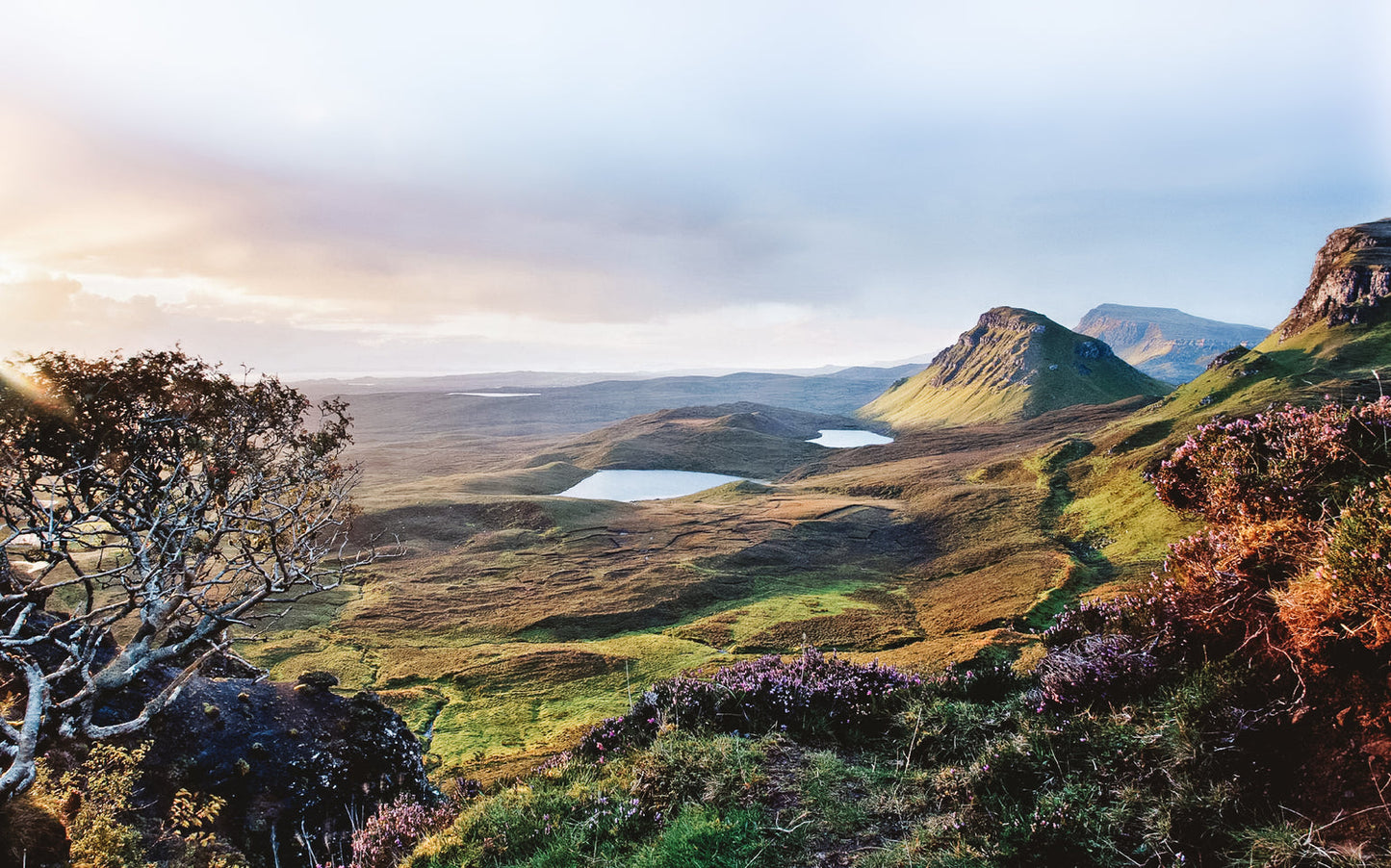 Vanilla & Fig Reed Diffuser