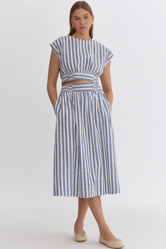 Striped Navy Woven Skirt