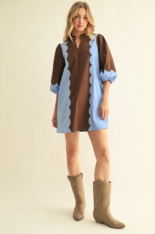 Mixed Media Brown & Blue Dress