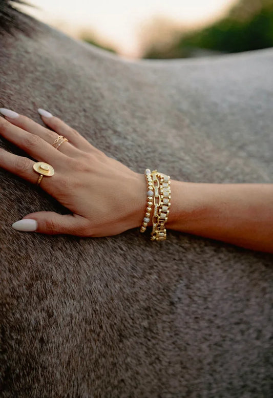 Saddle & Sparkle Bracelet