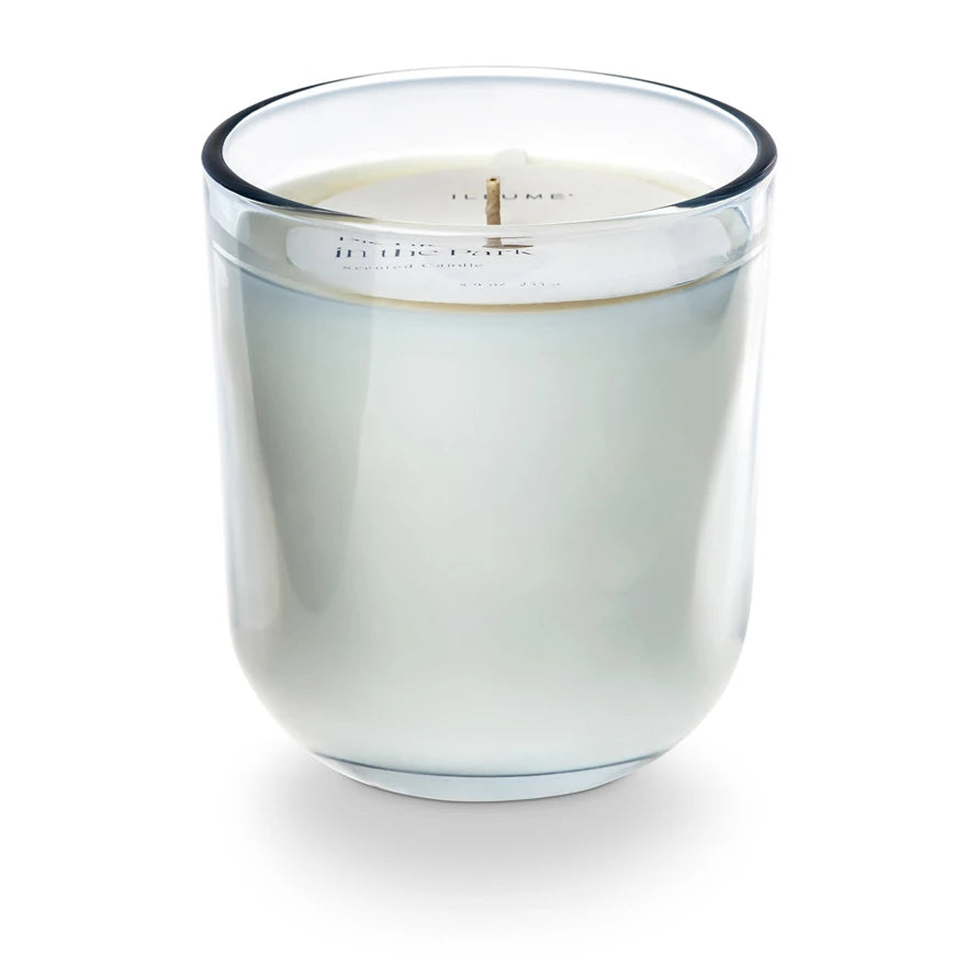 Picnic in The Park Daydream Candle