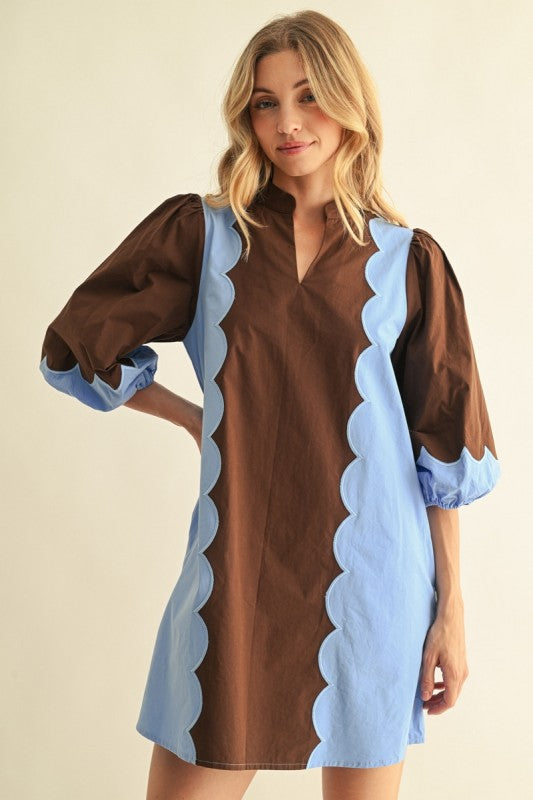 Mixed Media Brown & Blue Dress