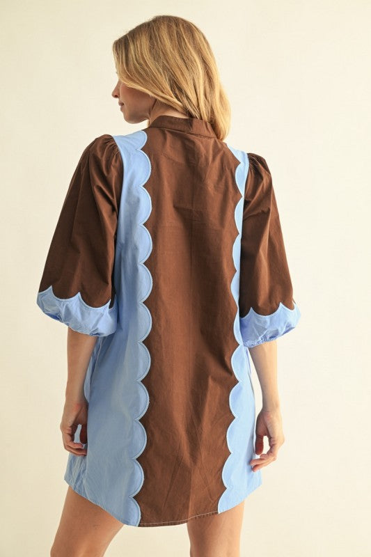 Mixed Media Brown & Blue Dress