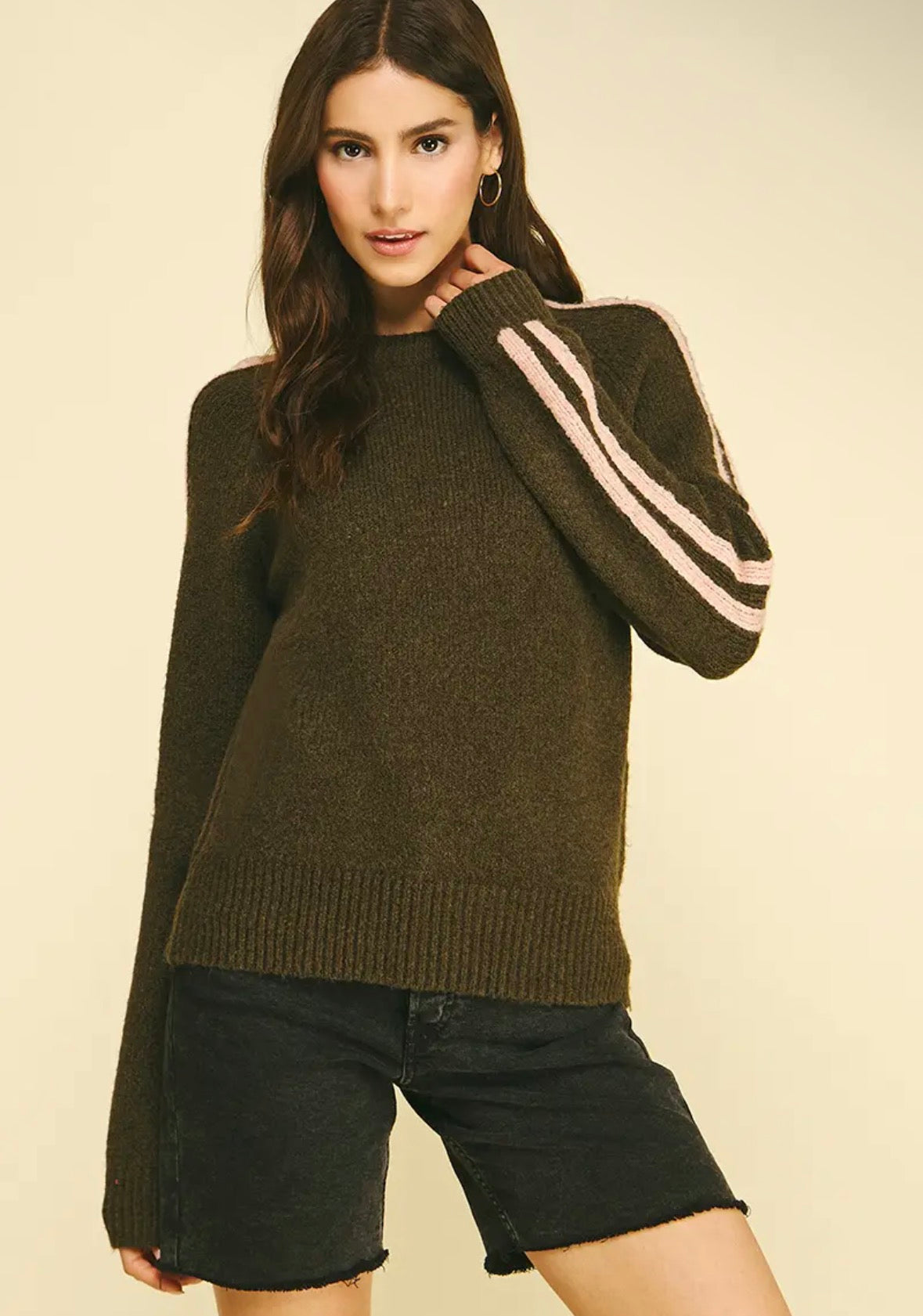 Striped Sleeve Knit Sweater
