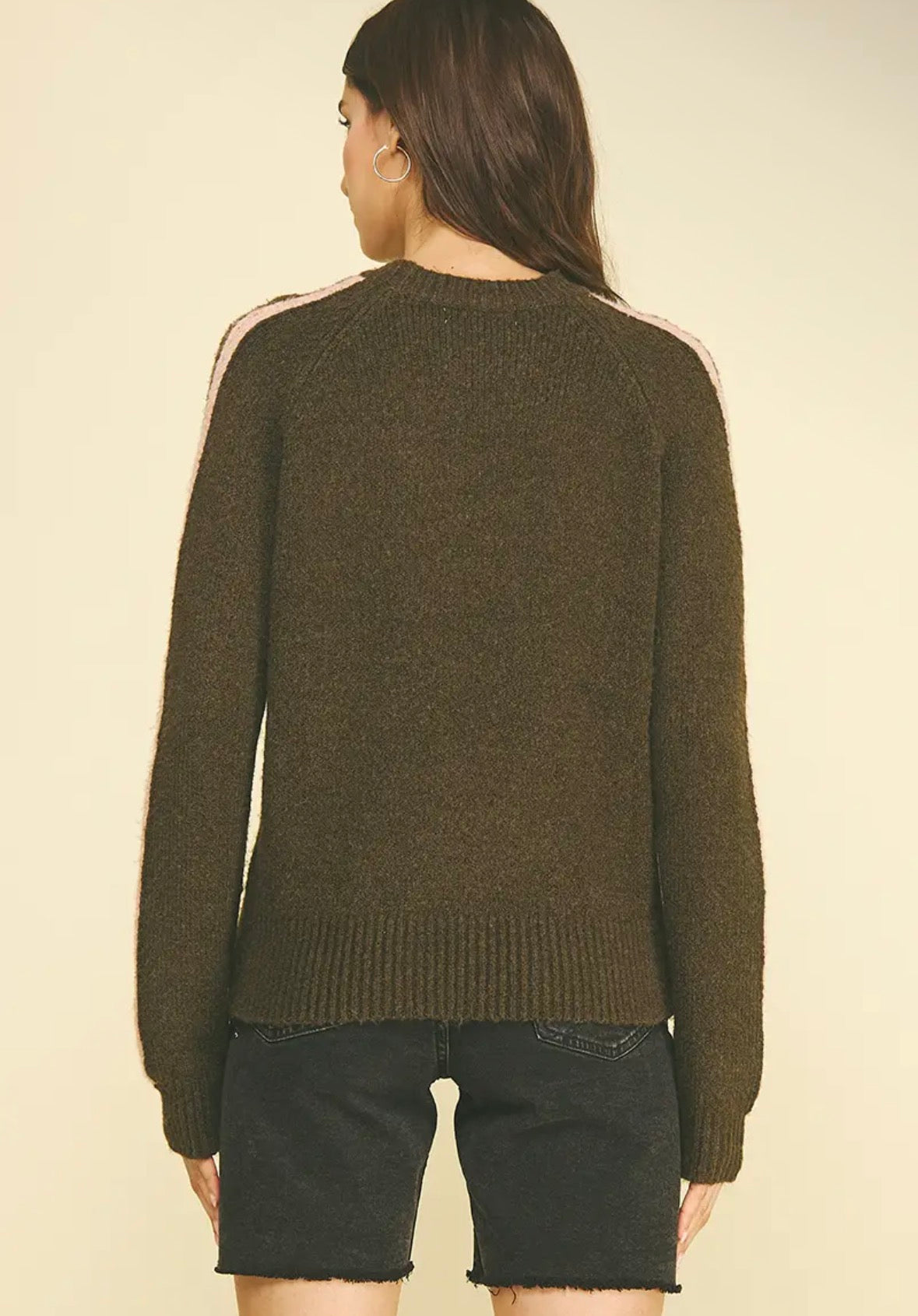 Striped Sleeve Knit Sweater