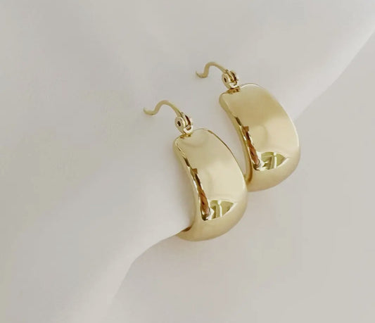 Noah Chunky Hoops Earring