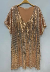 Rose Shimmer Shift Dress