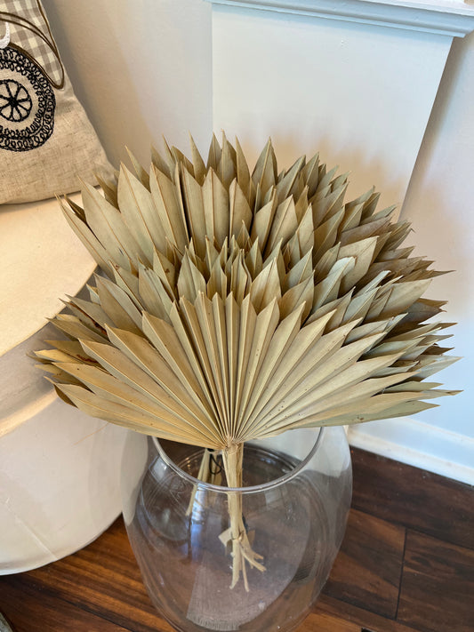 Dried Natural Palm Bunch